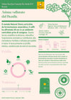 filicori-zecchini-brasil-fazenda-rio-verde-b19-specialty-coffee-grandi-selezioni image 2