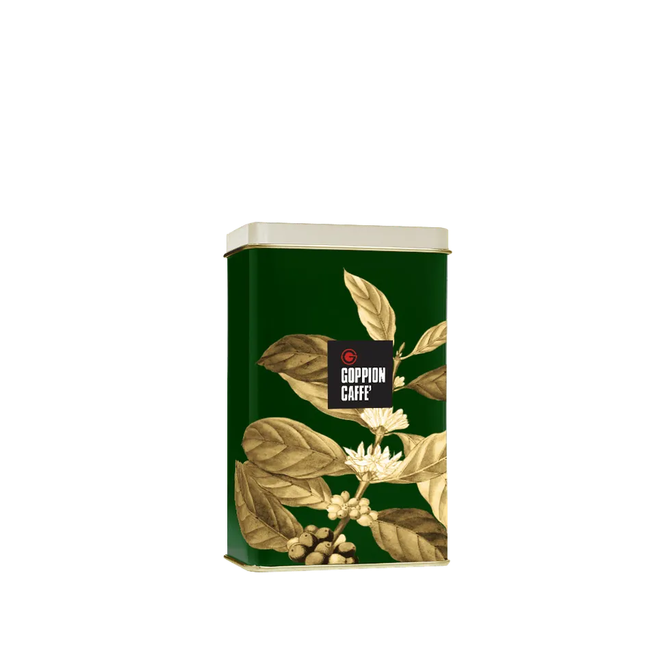 goppion-caff-arabica-macinato-250-g-lattina-verde-rettangolare image 1