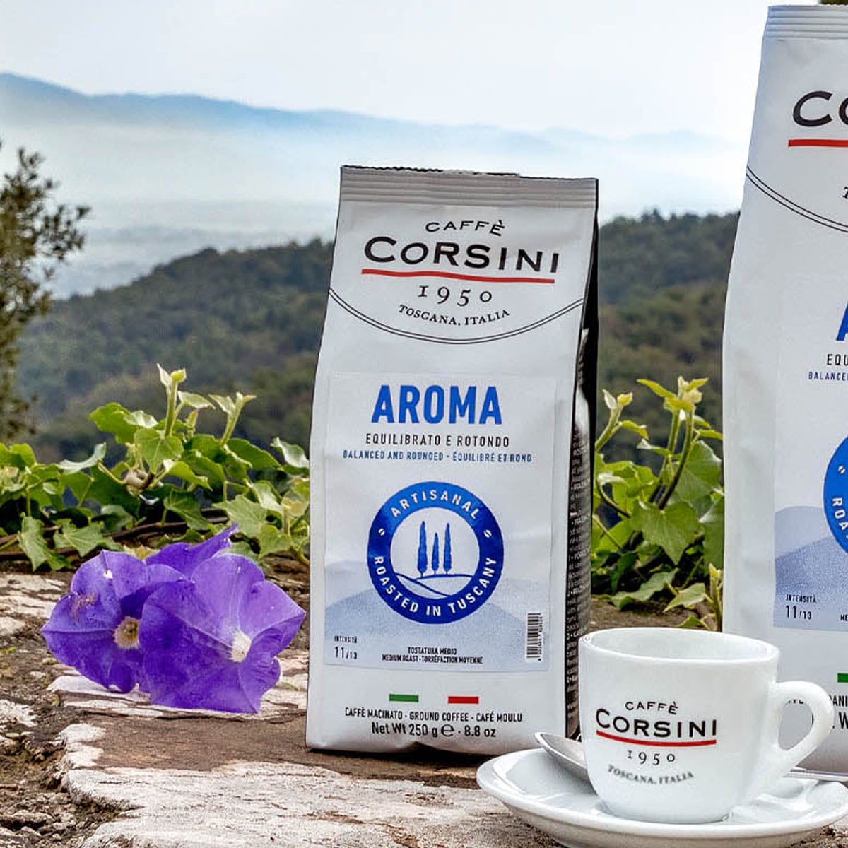 caff-corsini-aroma-arabica-e-robusta-caff-macinato-10-x-250g image 6